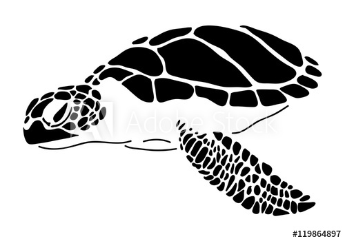 500x350 Sea Turtle, Vector