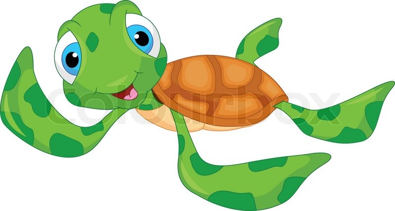 800x427 Cute Sea Turtle Cartoon Stock Vector Colourbox