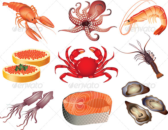 590x455 Popular Seafood Vector Set By Andegro4ka Graphicriver