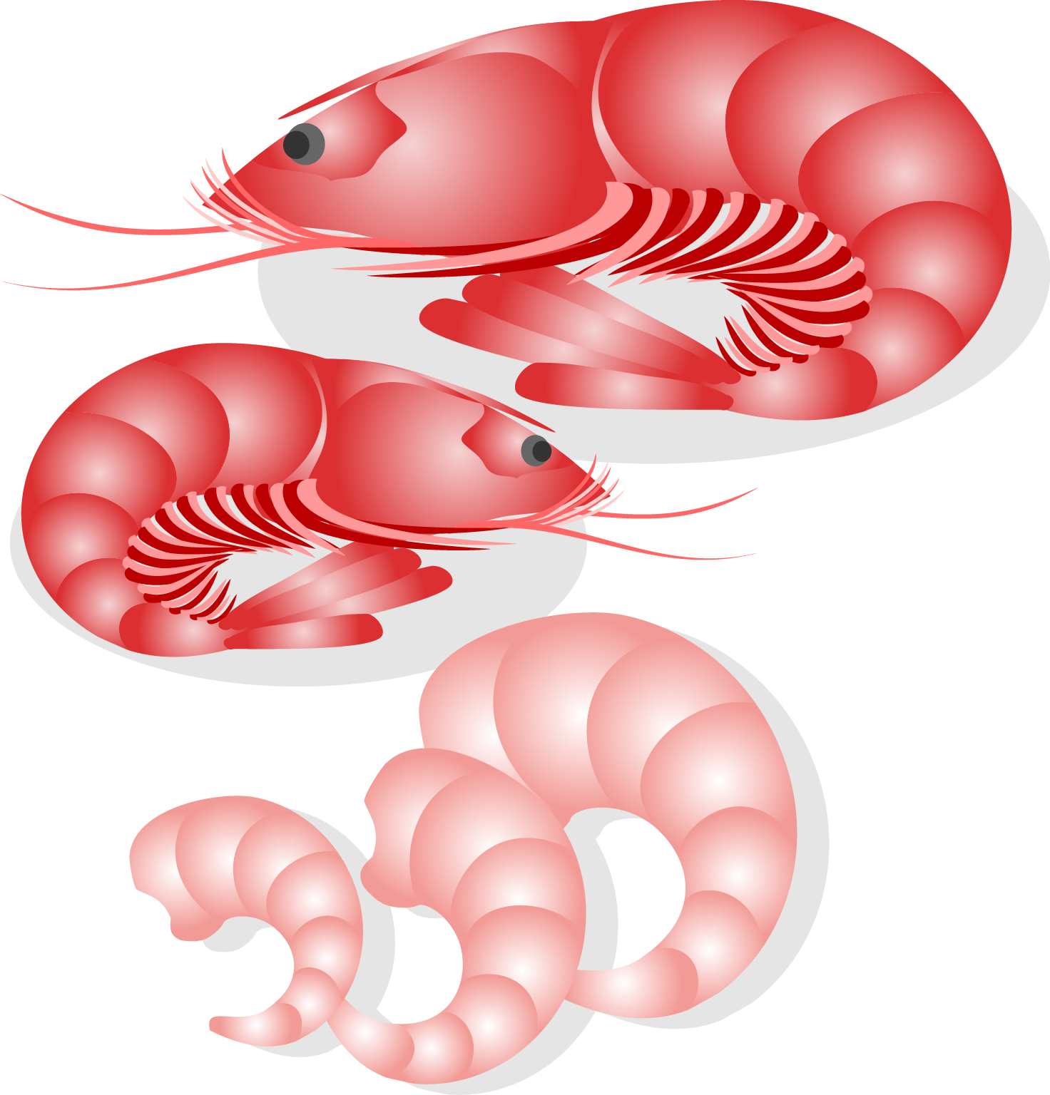 1472x1536 Seafood Japanese Cuisine Fish