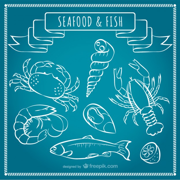 625x626 Seafood And Fish Vector Vector Free Download