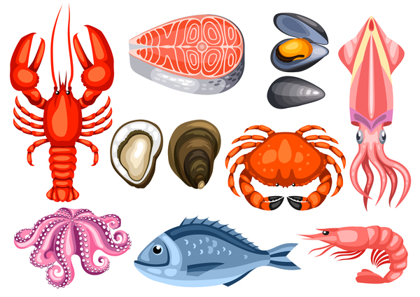 600x424 Different Seafood Illustration Vector 02 Free Download