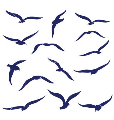 380x400 Seagull Silhouettes Vector 1275822