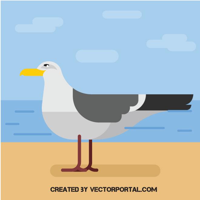 660x660 Seagull Vector Graphics