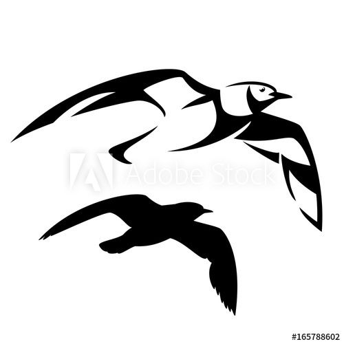 500x500 Flying Seagull Vector Design