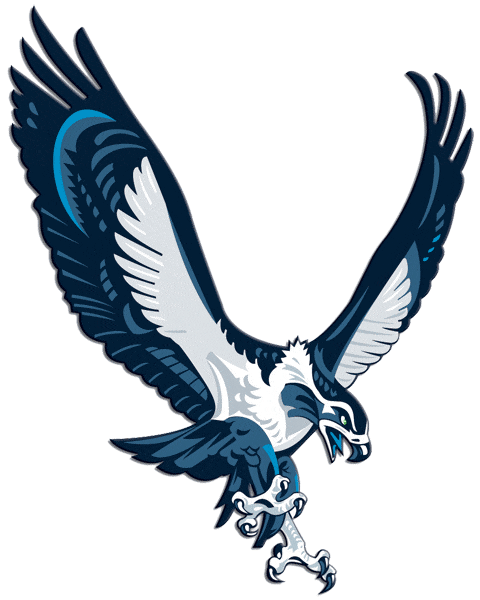 480x600 Seahawks Vector Free Download On Mbtskoudsalg