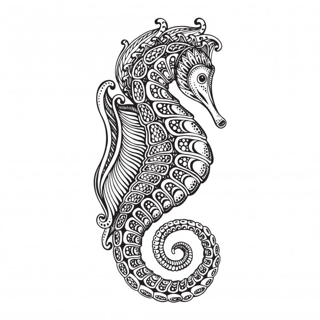 626x626 Hand Drawn Graphic Ornate Seahorse Vector Premium Download