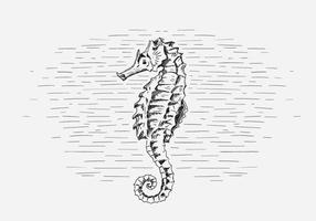 286x200 Seahorse Free Vector Art