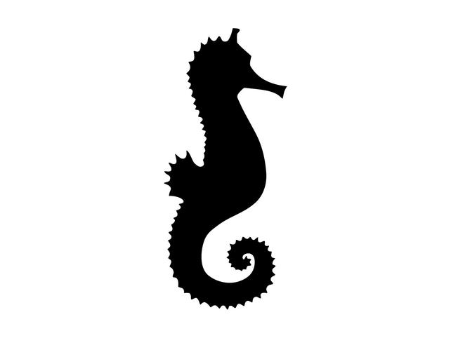 642x482 Seahorse Svg Seahorse Clipart Seahorse Vector Beach Svg Summer Etsy
