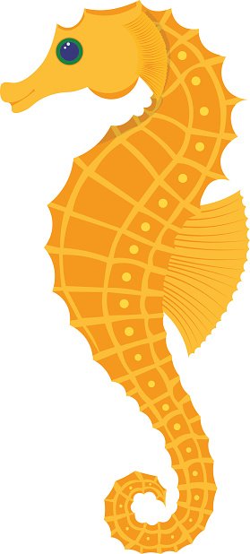 279x618 Seahorse Vector Illustration Premium Clipart