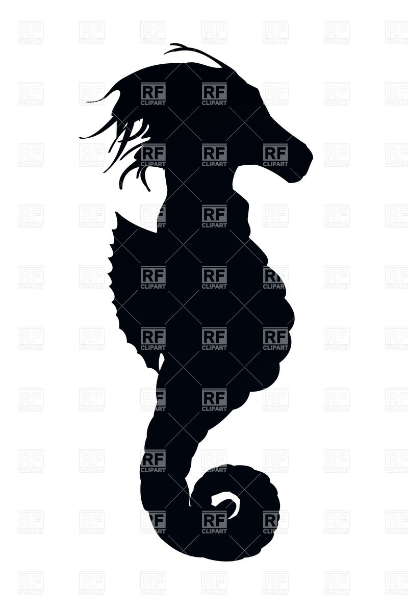 800x1200 Silhouette Of Seahorse Vector Image Vector Artwork Of Plants And