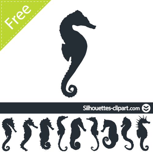 500x500 Seahorse Vector Silhouette Graphics Seahorses