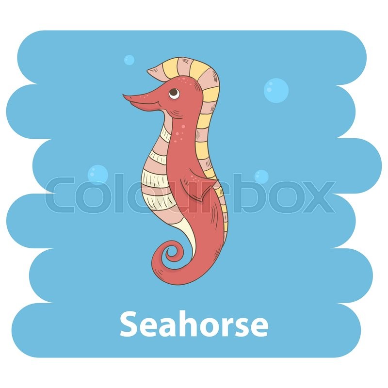 800x800 Cute Cartoon Seahorse Vector Illustration.cartoon Animal Seahorse