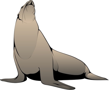 442x368 Seal Animal Vector Free Vector Download (7,872 Free Vector) For