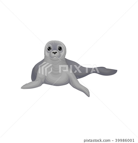 450x468 Seal Sea Animal, Inhabitant Of Cold Seas Vector Illustration On A