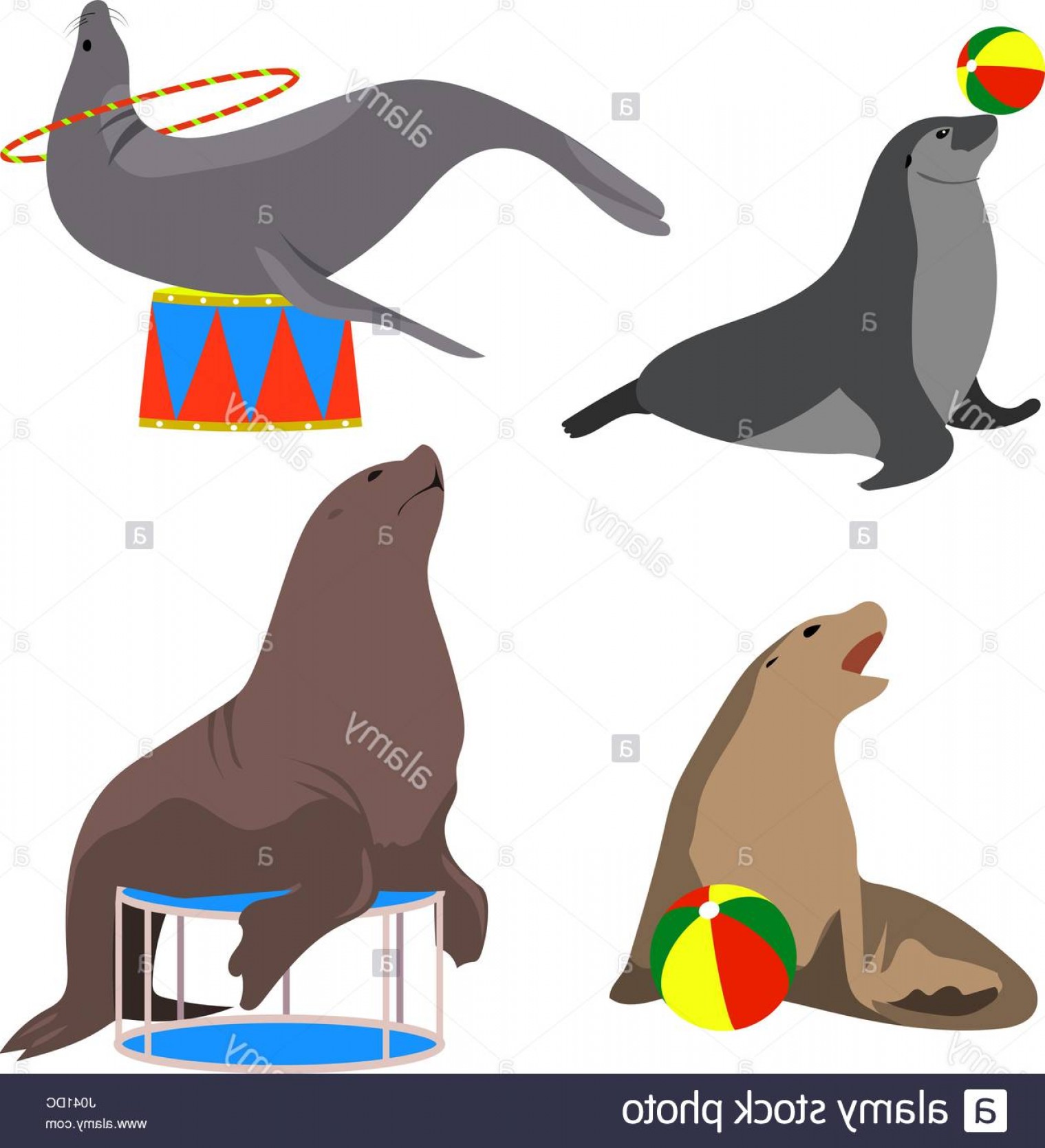 1519x1668 Stock Photo Circus Seals Vector Illustration Set Cartoon Style