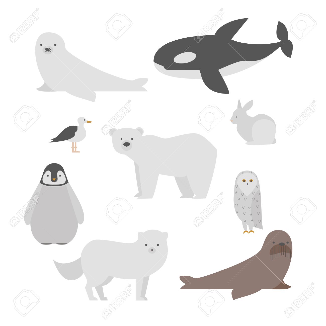 1300x1300 White Wolf Clipart Arctic Seal