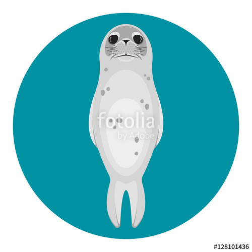 500x500 Seal Animal Stock Image And Royalty Free Vector Files On Fotolia