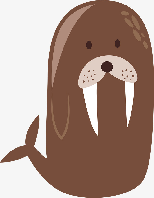 650x834 Cartoon Animal Seal, Cartoon Vector, Animal Vector, Seal Vector