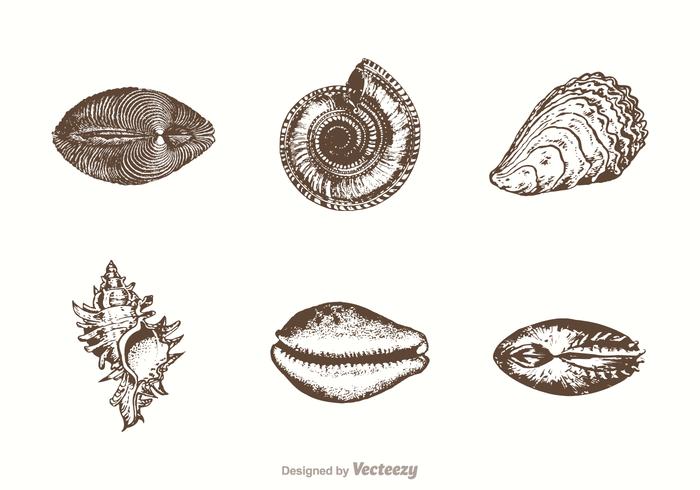 700x490 Free Hand Drawn Sea Shells Vector