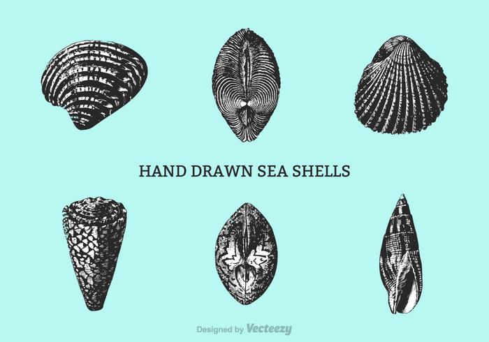 700x490 Free Hand Drawn Shells Vector