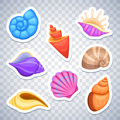 400x400 Page 1 Shells On Curated Vector Illustrations, Stock Royalty Free
