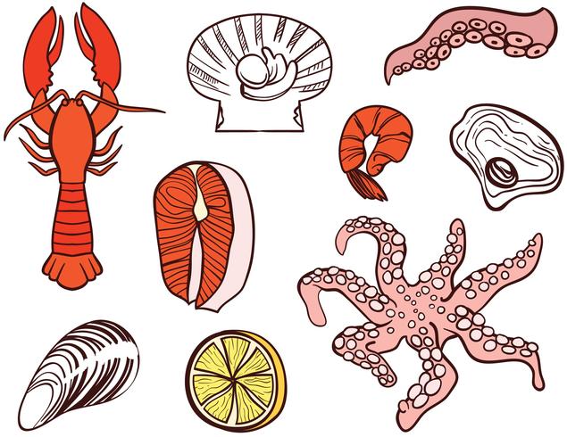 635x490 Seashell Vector Free Download Seafood Vectors Download Free Vector