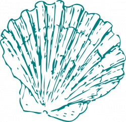 250x242 Collection Of Free Vector Clipart Seashell. Download On Ubisafe
