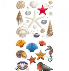 236x242 Colorful Seashell Vector Free Vectors Vector File