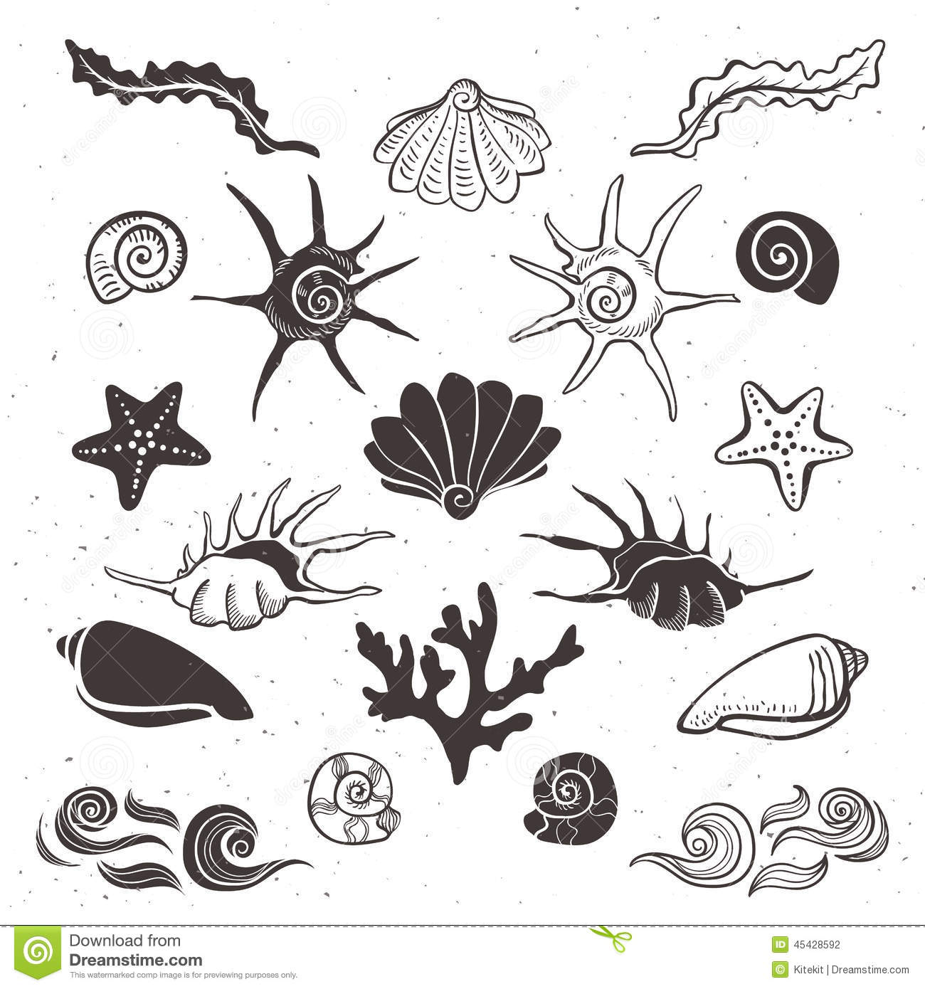 1300x1390 Drawn Starfish Seashell Free Collection Download And Share Drawn