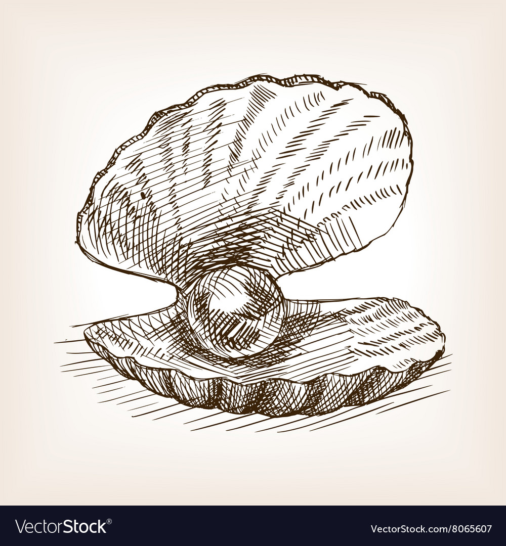 1000x1080 Drawn Shell Vector