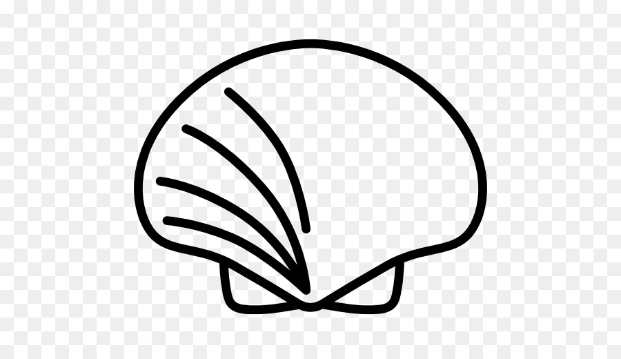 900x520 Seashell Computer Icons Molluscs Clip Art