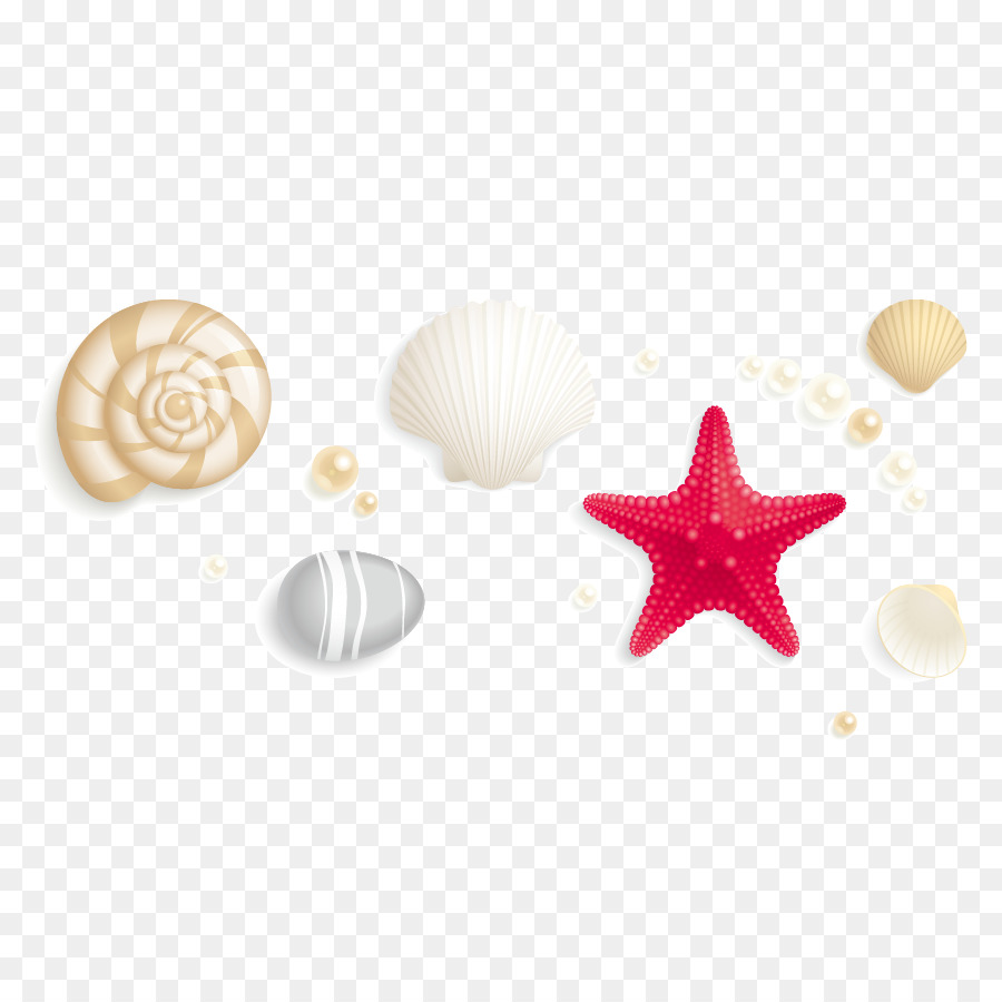 900x900 Seashell Stock Photography Royalty Free Clip Art