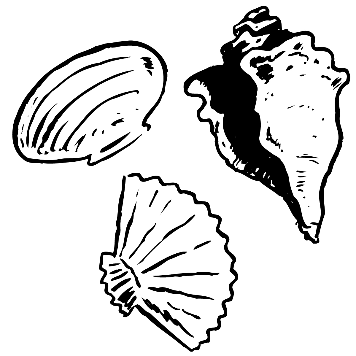 1200x1200 Shell Clipart Seahorse 3898913