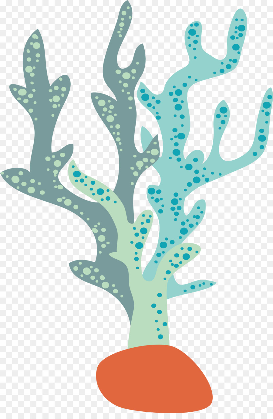 900x1380 Seaweed Aquatic Plant