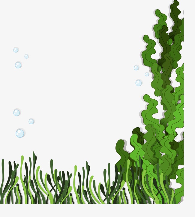 650x723 Seaweed Vector, Kelp, Aquatic, Marine Plants Png And Vector For