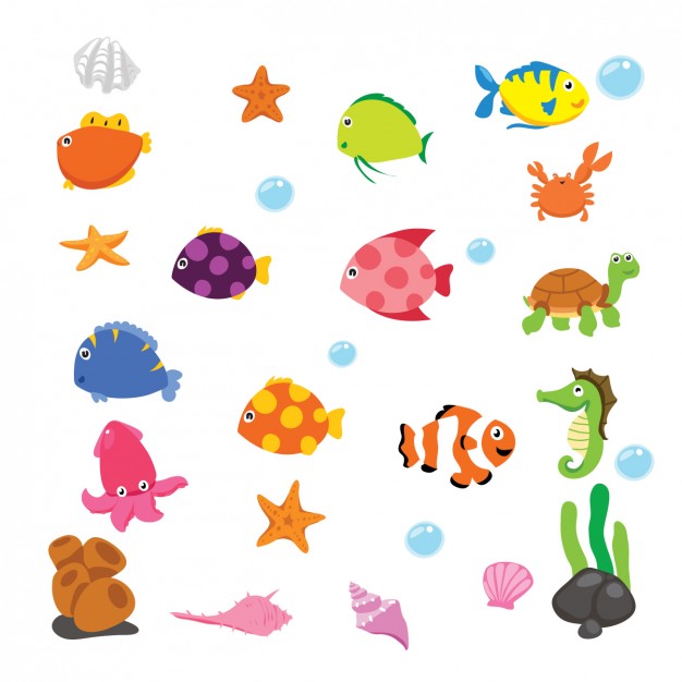 626x626 Seaweed Vectors, Photos And Psd Files Free Download