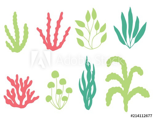 500x385 Colored Corals And Seaweed Vector Silhouette. Isolated On White