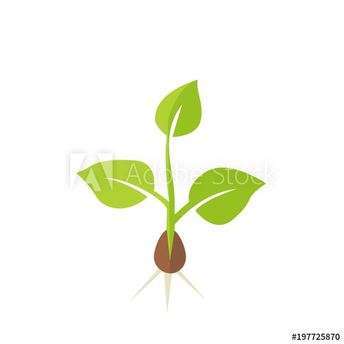 500x500 Plant Seedling. Vector Illustration
