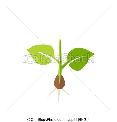 450x470 Plant Seedling. Vector Illustration.
