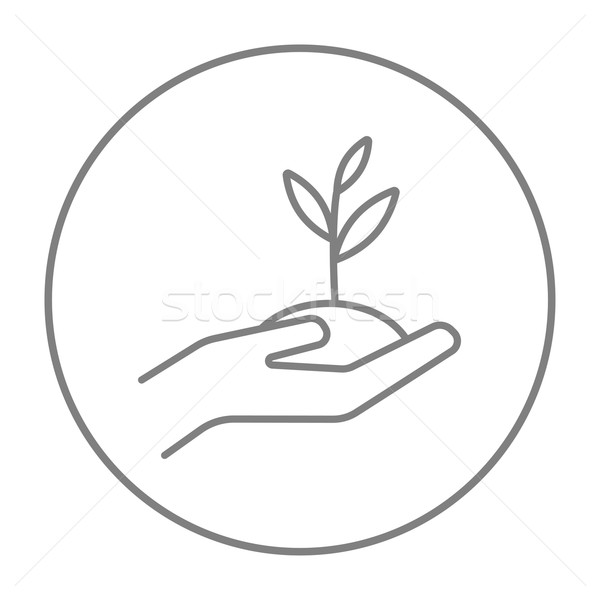 600x600 Seedling Stock Vectors, Illustrations And Cliparts Stockfresh