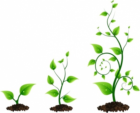 456x368 Seedling Free Vector Download (27 Free Vector) For Commercial Use