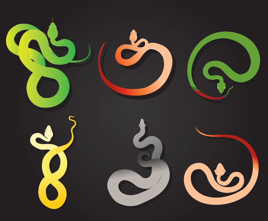 1136x936 Serpent Vector Pack Vector Art Amp Graphics