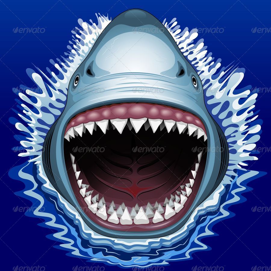 Shark Jaw Vector at GetDrawings | Free download