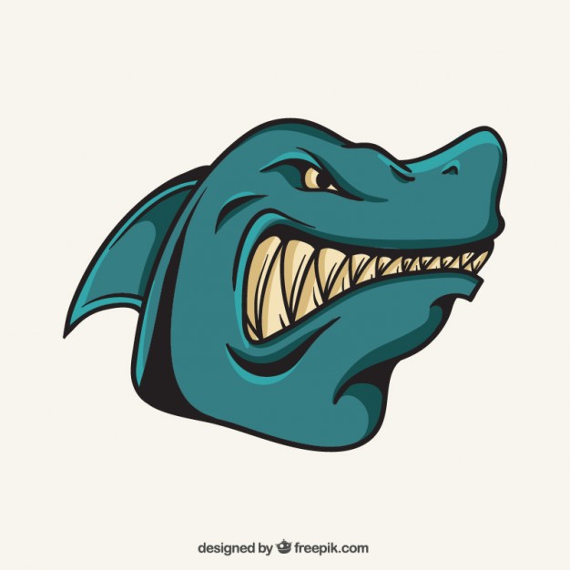 626x626 Shark Vectors, Photos And Psd Files Free Download