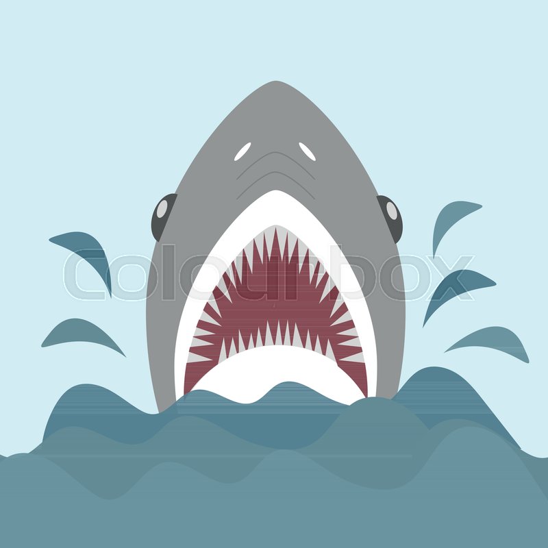 800x800 Shark With Open Jaws And Sharp Teeth. Vector Illustration In Flat
