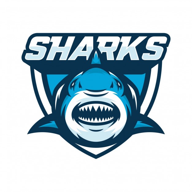 626x626 Sharks Animal Sport Mascot Head Logo Vector Vector Premium Download