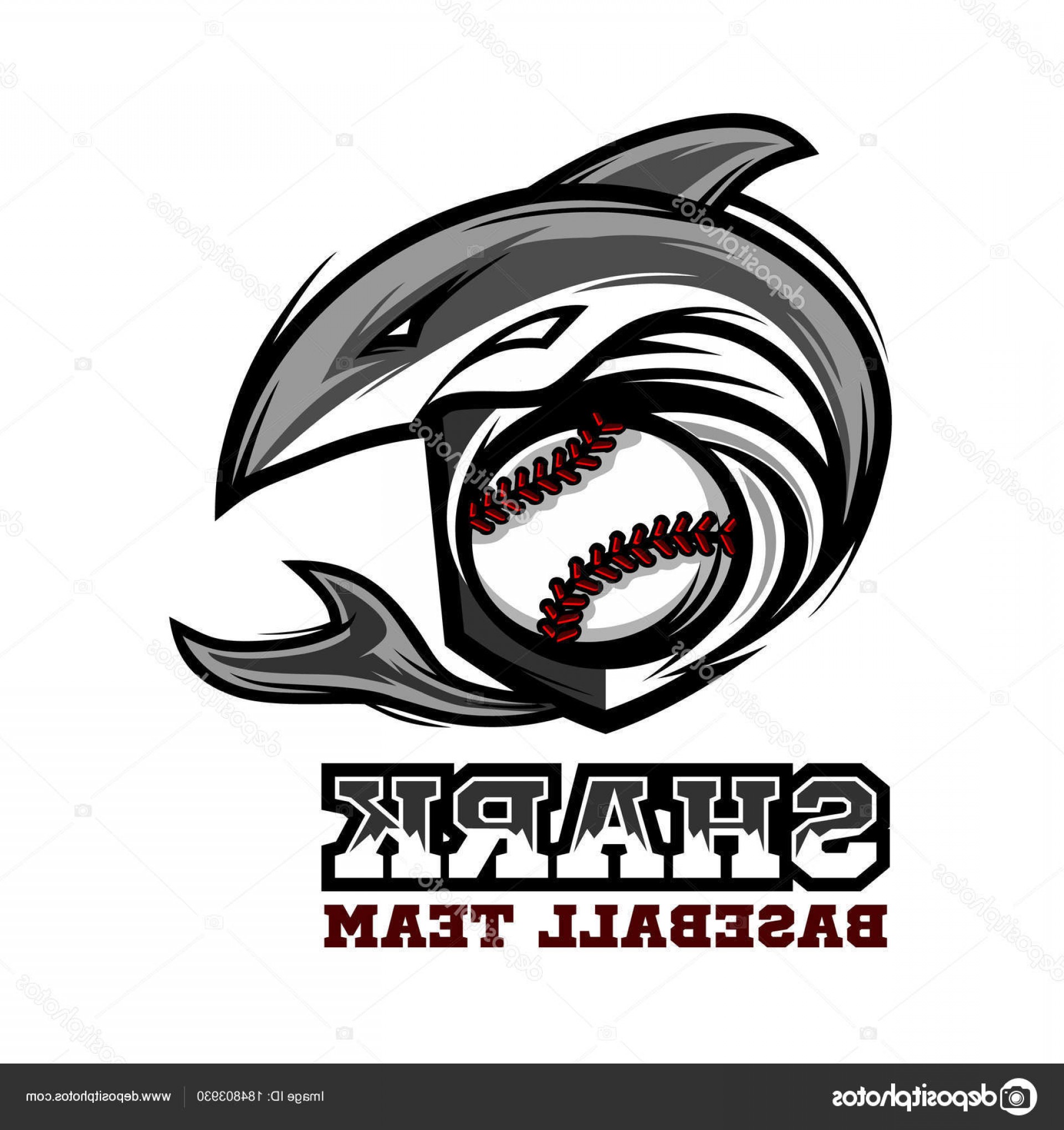 1920x2040 Stock Illustration Shark Baseball Logo Vector Arenawp