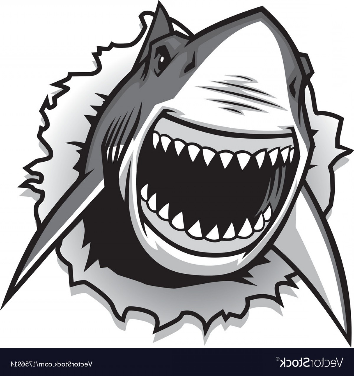 Shark Mouth Vector at GetDrawings | Free download