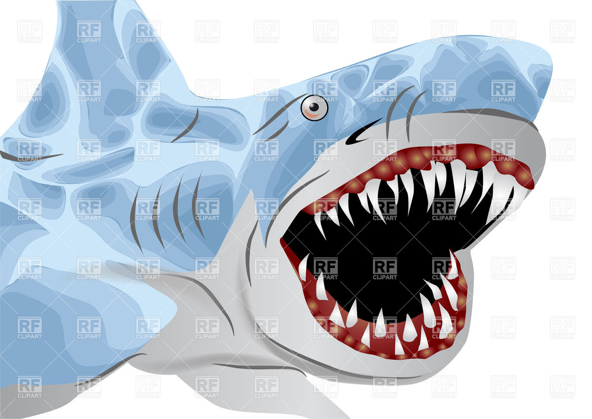 1200x849 Great White Shark With Open Mouth Vector Image Vector Artwork Of